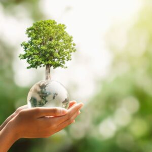 Was bedeutet ein klimafreundlicher Lebensstil?