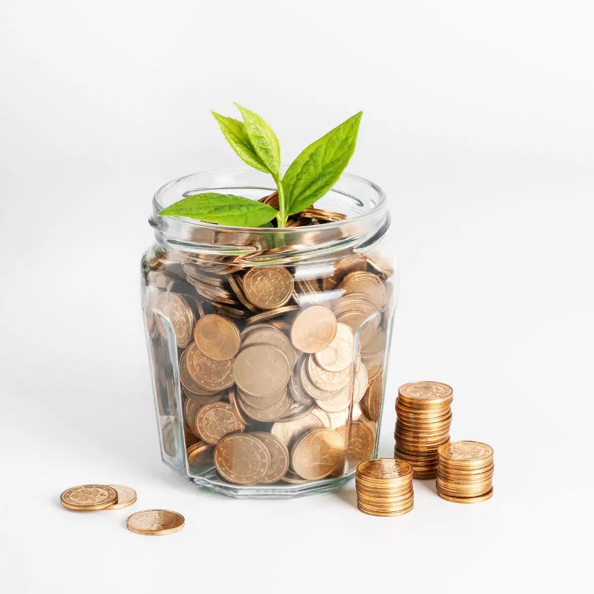 Nachhaltigkeit im Versicherungsvertrieb: Neue Pflichten als Chance nutzen​ - Wie Vermittler:innen durch nachhaltige Beratung ihre Kundenbindung stärken können